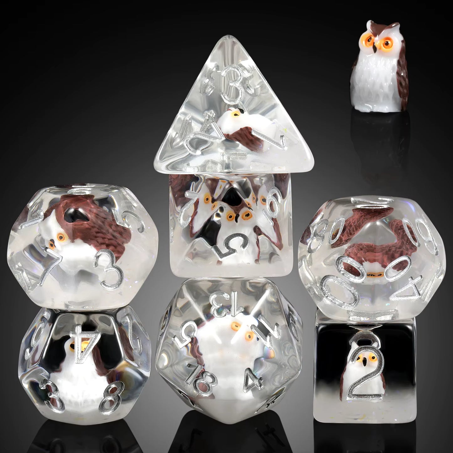 Polydice set - Uil